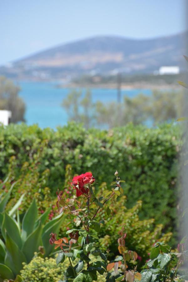 Apartahotel Thalasea - Village Antiparos ciudad